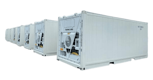 A row of white refrigerated shipping containers equipped with Thermo King refrigeration units