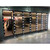 20'9" x 29'5" x 9'5"H Crown-Tonka Walk-in Cooler with (6) Anthony Glass Doors