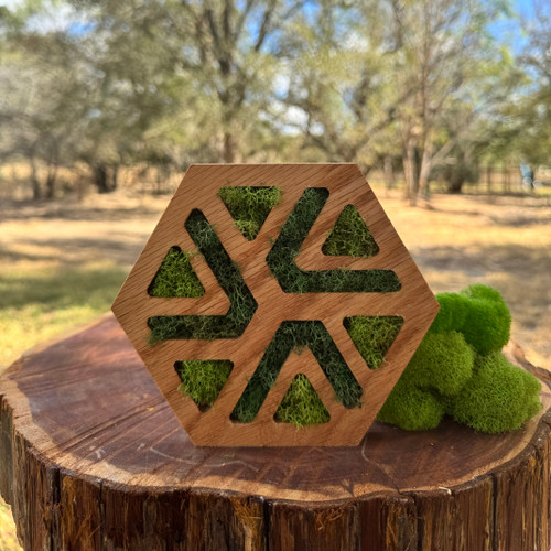Hexagon Wall Decoration with Preserved Moss – Natural & Eco-Friendly