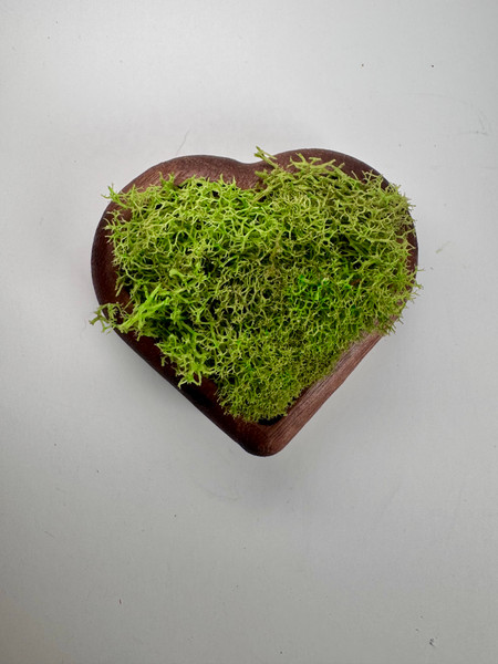 Heart-Shaped Wooden Magnets Walnut