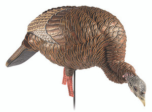 Avian X AVXAVX8107 HDR Feeder Hen Turkey Species Multi-Color (46AR2)