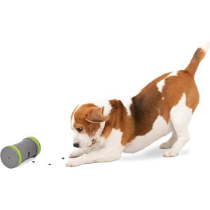 Kibble Chase™ Roaming Treat Dropper (RX15L)