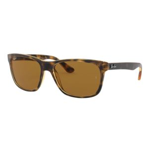 Polarized Rb4181 Sunglasses (M80AC)