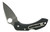 Spyderco C28PBK2 Dragonfly 2  2.25" Folding Clip Point Plain VG-10 SS Blade Black FRN Handle Includes Pocket Clip                                                                                        (PB24U)