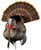 Avian X AVXAVX8108 HDR Strutter Turkey Species Multi Color (M1FHD)