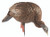 Avian X AVXAVX8107 HDR Feeder Hen Turkey Species Multi-Color (46AR2)