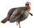 Avian X AVXAVX8105 HDR Jake Turkey Decoy Multi Color (G25OS)