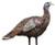 Avian X AVXAVX8006 LCD Lookout Hen Turkey Species Multi Color Dura-Rubber (A0400)