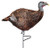 Primos 69070 Photoform Leading Hen Turkey, Lightweight/Flexible/Collapsible Foam, Life Like Head Detail                                                                                                  (I0M2F)