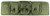 Bulldog BDT6043G BDT Tactical Double 43" Green Nylon, 3 Accessory Pockets, Deluxe Padded Backstraps Lockable Zippers, Padded Internal Divider                                                            (LE2ZL)