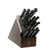 Classic 20-Piece Self-Sharpening Block Set (FJCII)