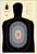 Action Target B27EPROS100 Qualification Pros Silhouette Paper Hanging 23" x 35" Black/Gray/White 100 Per Box                                                                                             (YXXC1)