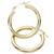 Large Hoop Earrings (7XM94)