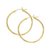 Gold Hoop Earrings (6YSCX)