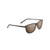 Lele Kawa Polarized Sunglasses Brown Stripe Frame Hcl Bronze Lens (IB0NF)