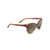 Olu'olu Polarized Sunglasses Tortoise Frame Hcl Bronze Lens (G22AH)