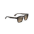 Maluhia Polarized Sunglasses Shiny Dark Havana Frame Hcl Bronze Lens (8YLJC)