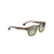 Maluhia Polarized Sunglasses Shiny Light Brown Frame Maui Ht Lens (ZA5OZ)