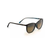 Ocean Polarized Sunglasses Tortoise Frame Hcl Bronze Lens (GZMX4)