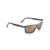 Anemone Polarized Sunglasses Brushed Chocolate Frame Hcl Bronze Lens (8RB2Z)