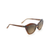 Lotus Polarized Sunglasses Chocolate Fade Frame Hcl Bronze Lens (6O3GL)