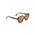 Mamane Polarized Sunglasses Tortoise Frame Hcl Bronze Lens (Y1963)