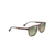 Kupa'a Polarized Sunglasses Shiny Light Brown Frame Maui Ht Lens (HOPDQ)