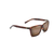 Cruzem Polarized Sunglasses Tortoise Frame Hcl Bronze (7J1EX)