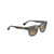 Hanohano Polarized Sunglasses Shiny Translucent Dark Gray Hcl Bronze Lens (YH1XM)