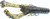 Rage Scounbug 3.5In 9Bg Okeechobee Crw (M85YU)