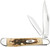 Case 00045 Peanut  2.10"/1.53" Folding Clip Point/Pen Plain Mirror Polished Tru-Sharp SS Blade, Peach Seed Jigged Amber Jigged Bone Handle                                                               (D6PLJ)