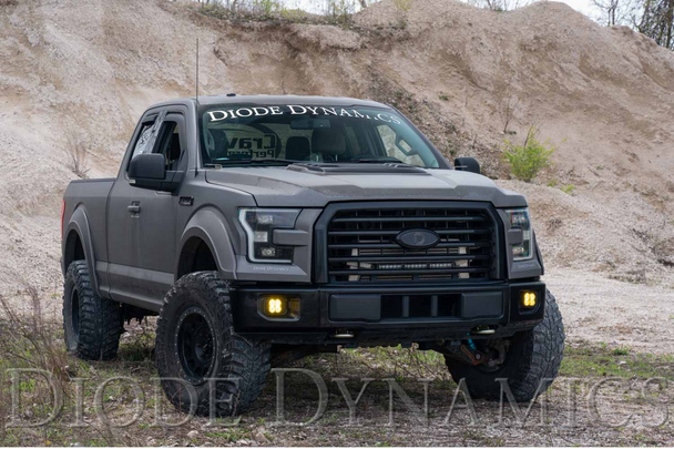 Diode Dynamics Stage Series 3" Fog Light Kit for 2015-2020 Ford F-150 & 2017-2022 Ford Super Duty