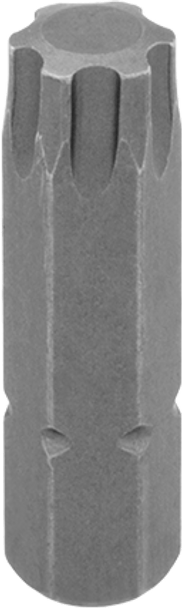 IP40 Bit for 1/4" and 3/8" Square Drive Torx-Plus Bit Socket