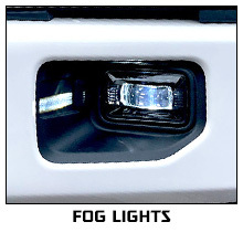 cat-fog-lights.jpg