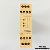 BIRCHER ESD41-24ACDC Safety Relay - 253823