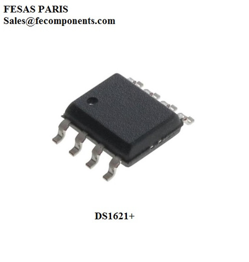 DS1621+