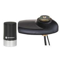 Combination GPS and 800/900 MHz Stubby Through-Hole Antenna
