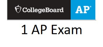Student is enrolled in one AP Course