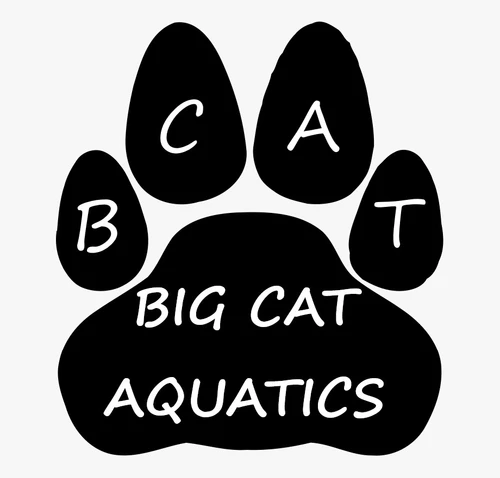 2026-27 BCAT Registration (1st Child)