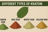 Different Types of Kratom Strains & Effects Comparison Chart