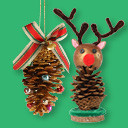 Santa's Nature Workshop