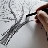 2ngcr4dvft09lf0dtigvej1i7e-12592-Micador-Charcoal-Sticks-lifestyle-1.jpg