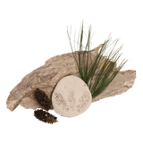 ps8fcvmid15ah5l6thd4hvb229-13044-13043-13042-No-fire-air-dry-clay-texture-craft-pinecones-lifestyle-bark-pine-1.png