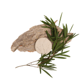 32aaejjfu17bj7bm83itppo02g-13044-13043-13042-No-fire-air-dry-clay-texture-craft-gum-leaves-lifestyle-bark-gum-1.png