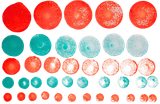 gp879fcf4d4hddoejrfuie5s35-13305_Bertie_Foam_Circle_Stamper_10pc_Lifestyle_1.png