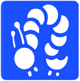 o79f1ojoed081ab0f9vgi7re7d-13498_Bertie_Bug_Stencils_caterpillar.png