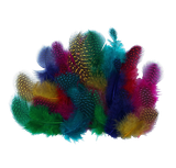 vutjl1g8556431vsnmthuhvt6c-13619_Guinea_Feathers_Assorted_25g.png
