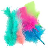 3viq5aga2d40re7qfi1cro7k4j-13621_Quill_Feathers_Assorted_25g_2.png