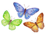 u9clvtc0d94697f4q03hep7n3t-12276_Koh-I-Noor_Watercolour_Discs_18_Colours_Lifestyle.jpg