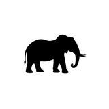 uhslo8flqp45daq4uan8h6j21a-14228_Scratch_Art_Animals_20pc-elephant.png